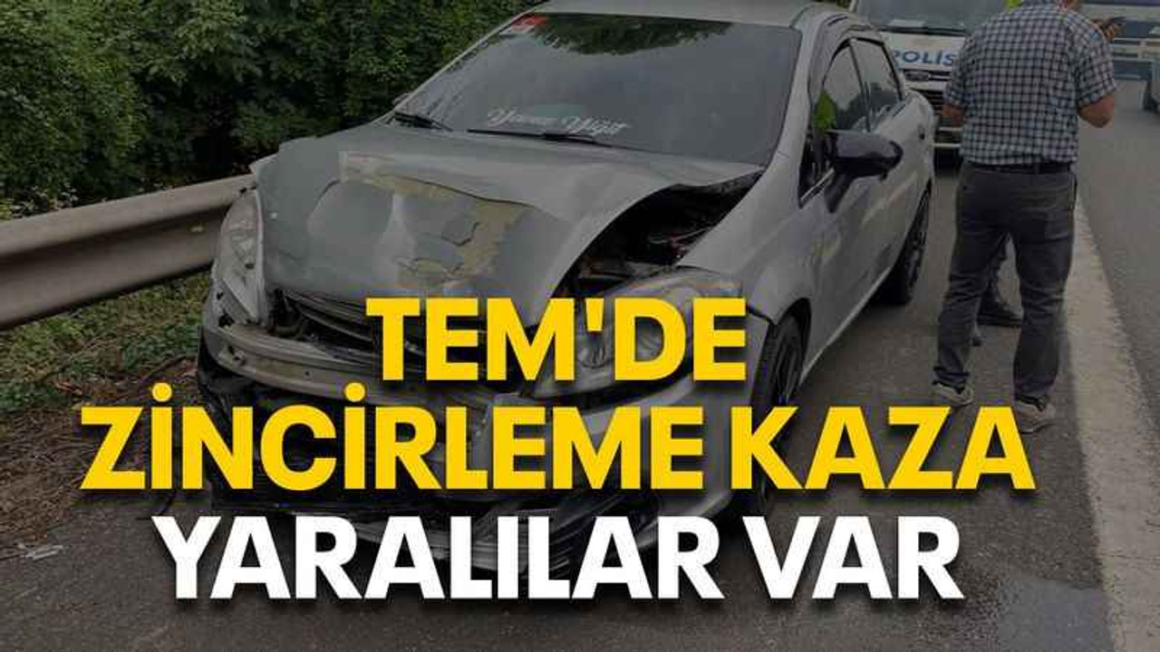 TEM'de zincirleme kaza yaralılar var
